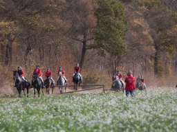 IMG_9704web